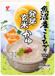YRVqJ100A茺ĂB